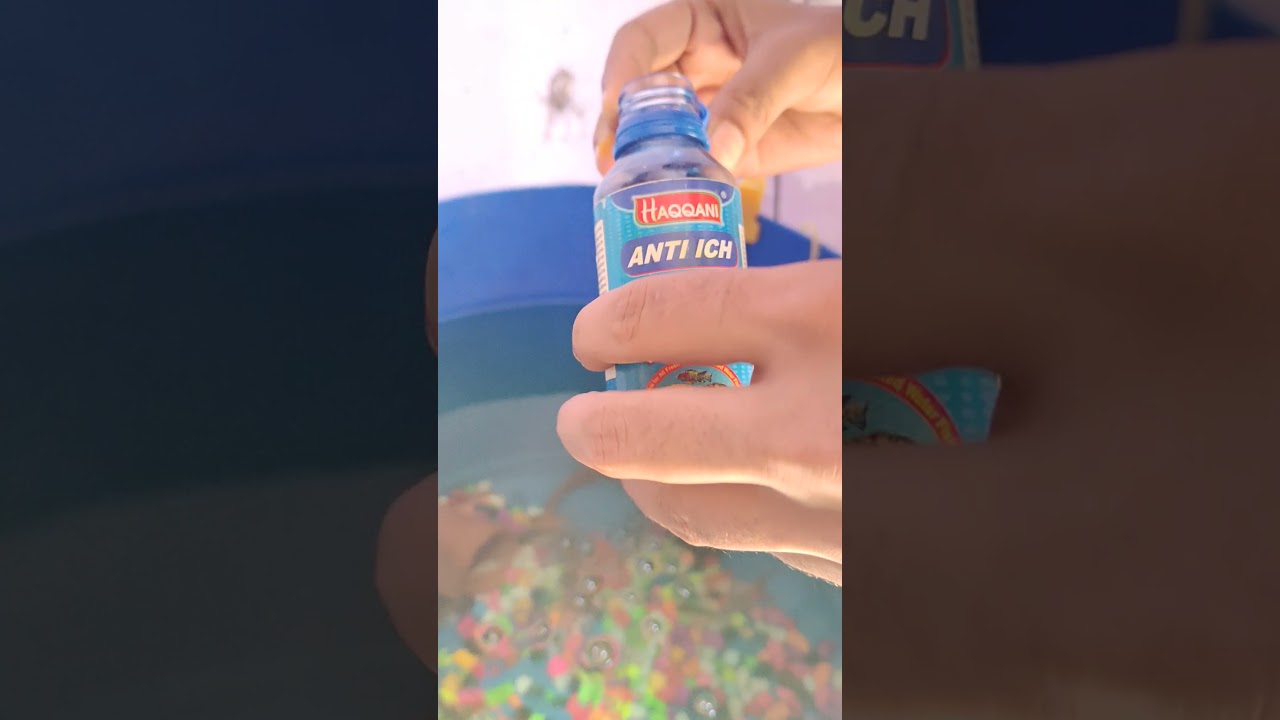 Anti itching medicine for fish 🐟 #medicine #iching #minivlog #treatment #fish #aquarium