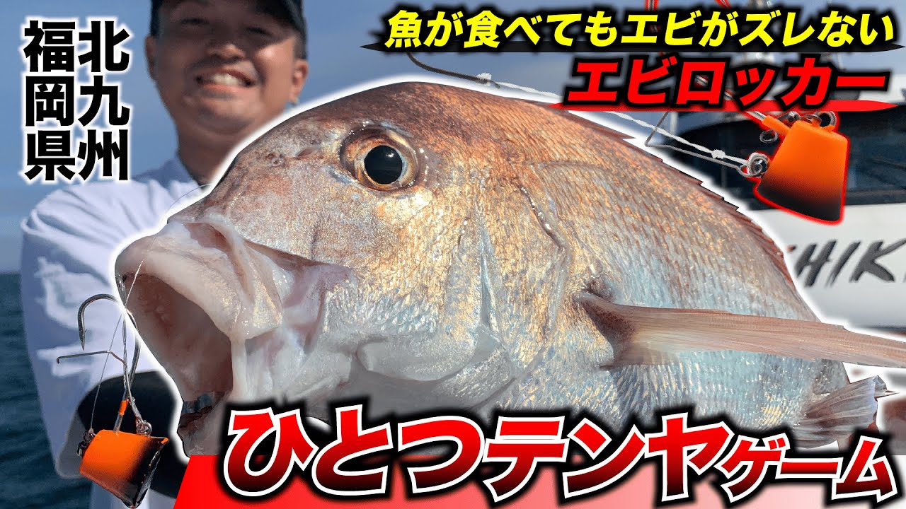 【真鯛一つテンヤ】九州の海で一つテンヤゲーム！エビロッカーでエサズレ激減ストレスフリーな真鯛ゲーム！
