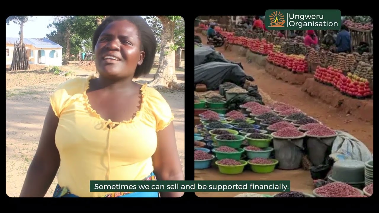 Ungweru Organisation Empowers Mtende Community Farmers Through Agronomic Training