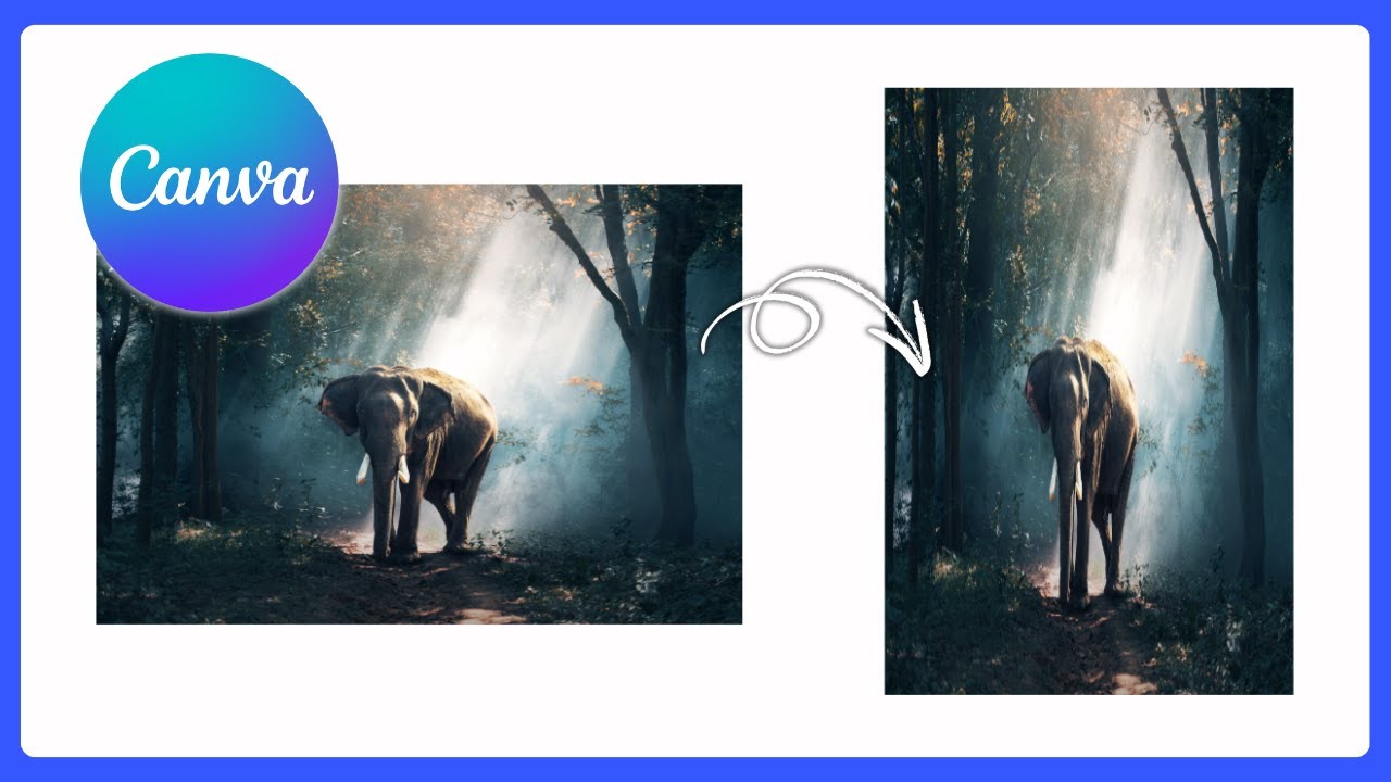 Как растянуть изображения в Canva