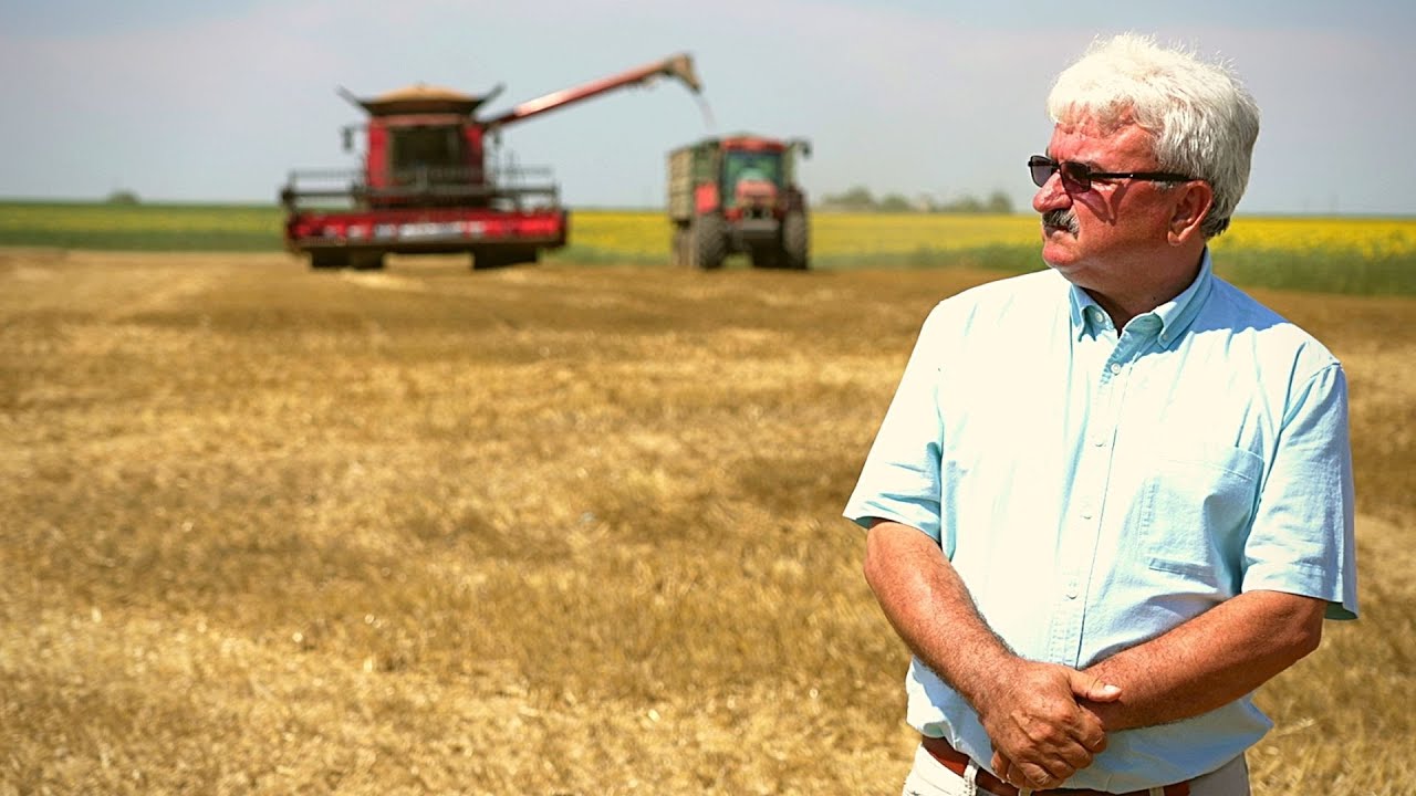 Fermierul Aurel Petruș a recoltat grâul ecologic. Rezultate și concluzii