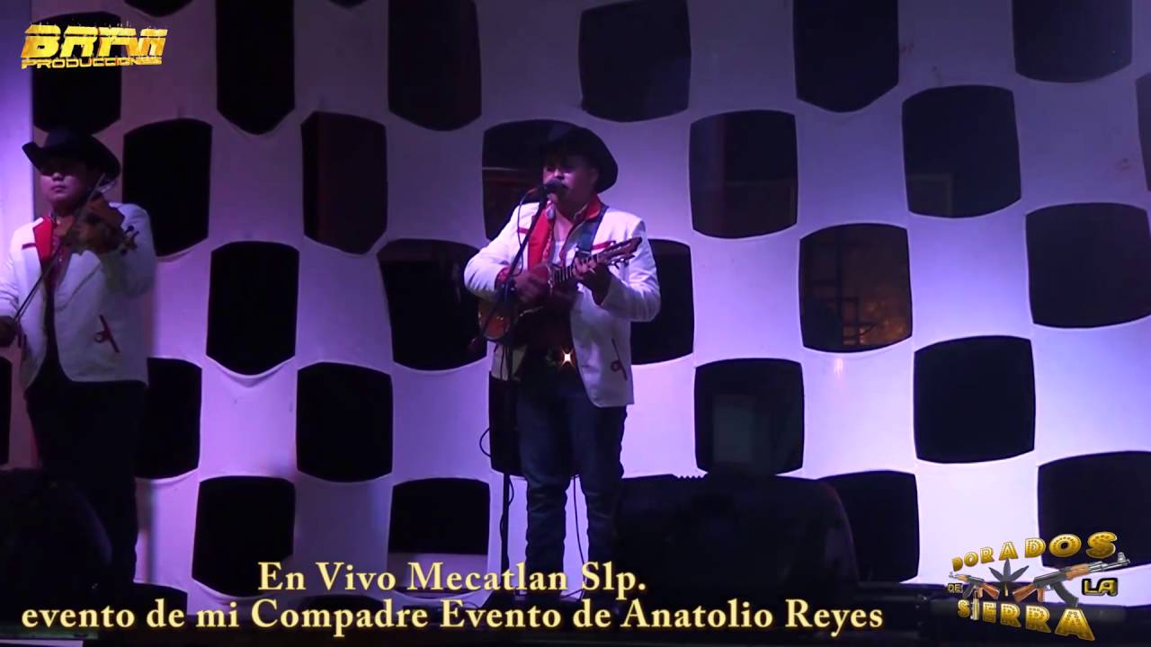 POPURRI PARTE 2 TRIO DORADOS DE LA SIERRA EN VIVO MECATLAN SLP.