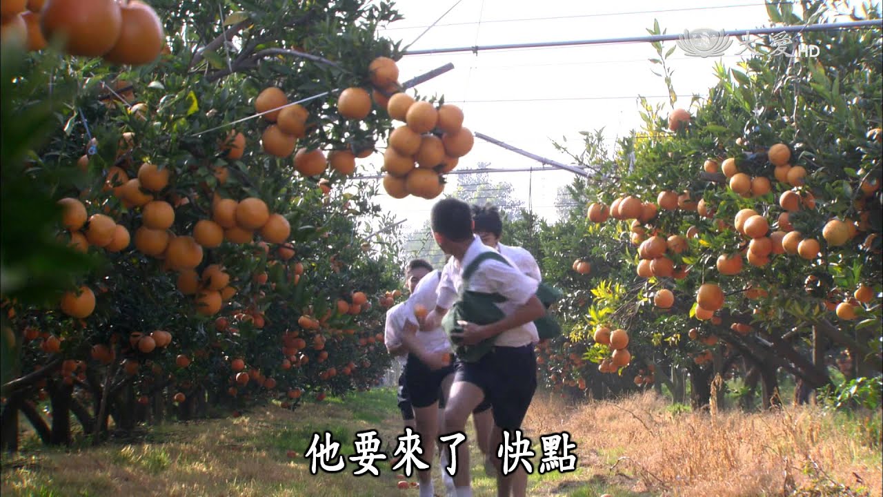 【長情劇展】20150622 - 葡萄藤下的春天 - 第1集
