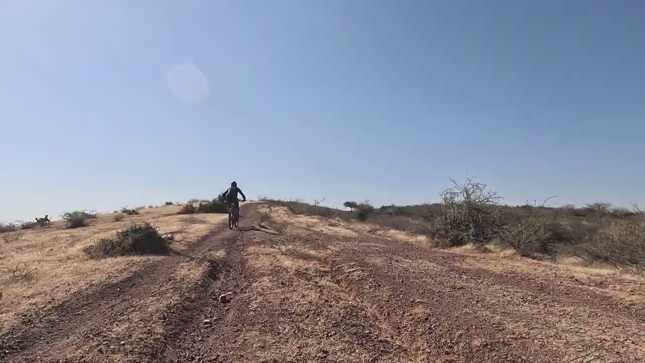 De la partida a la panza