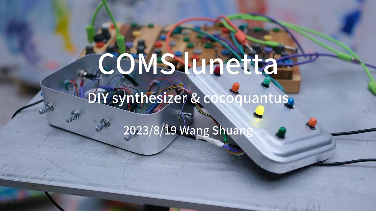 DIY synthesizer CMOS lunetta & cocoquantus