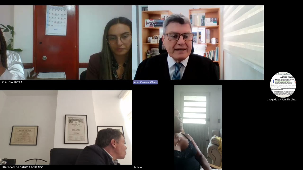 AUDIENCIA PROCESO DECLARATIVO UNIÓN MARITAL DE HECHO