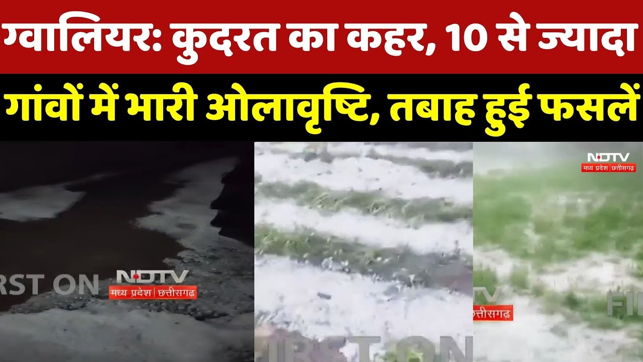 Gwalior Weather : कुदरत का कहर, 10 से ज्यादा Villages में भारी Hailstorm, तबाह हुई Crops | Breaking