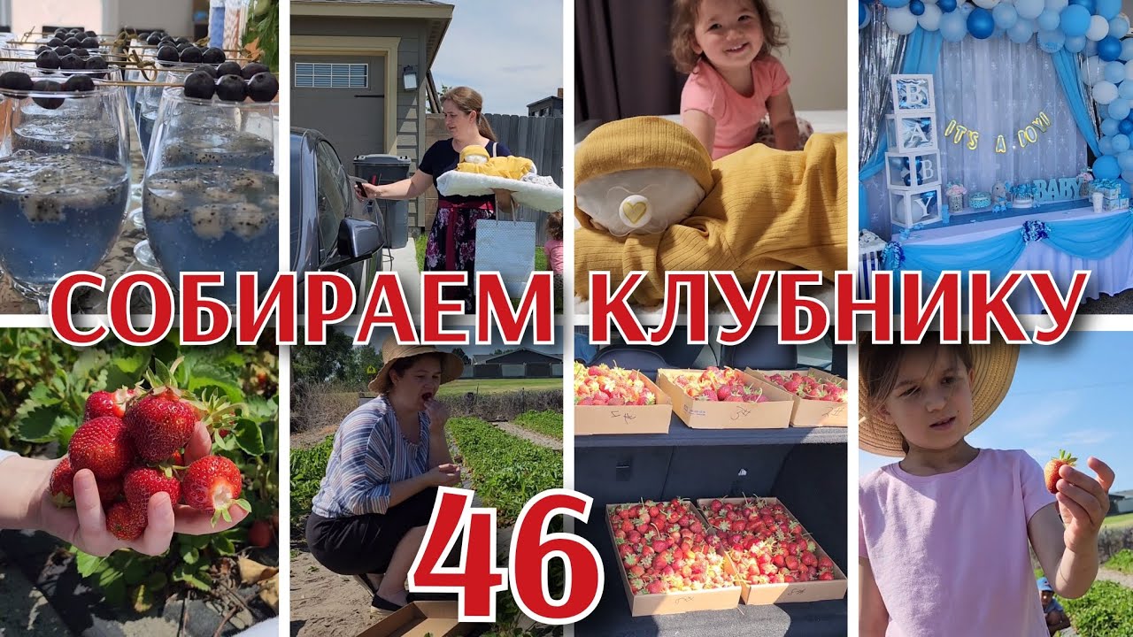 КЛУБНИЧНОЕ ПОЛЕ●ЕДУ В ГОСТИ●ЖИЗНЬ В США●#46