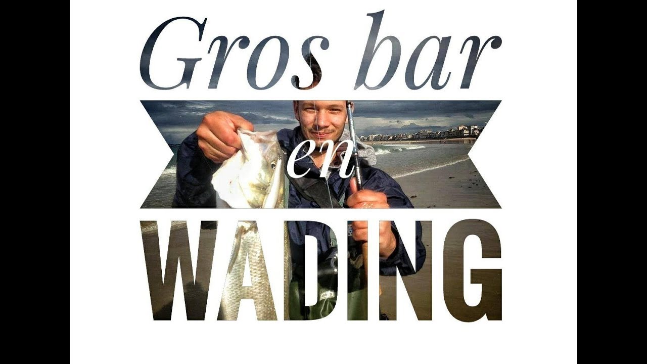 P&ecirc;che au Bar: le Wading dans les vagues en Bretagne