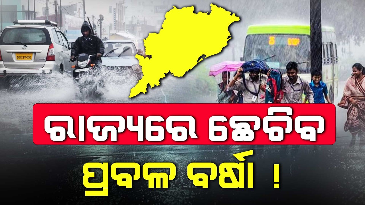 Rain Alert For Odisha: Low Pressure Likely Over Bay of Bengal in 48 Hours | Odisha Weather Update