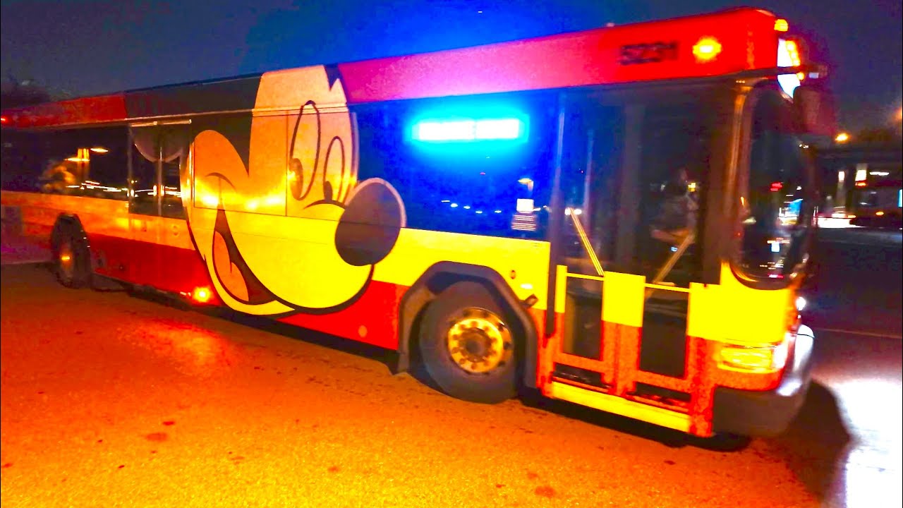 Disney World Bus Station at Animal Kingdom, Real Bus Sounds, Many Buses Coming & Going