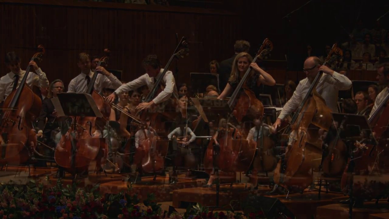 The Witching Hour: Concerto for 8 Double Basses