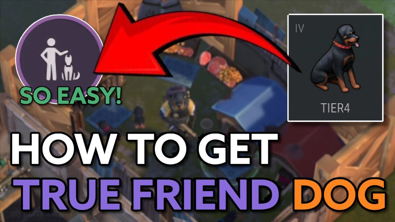 How To Get The True Friend Dog Without Needing To Breed Low Tier Dogs | Last Day On Earth : Survival