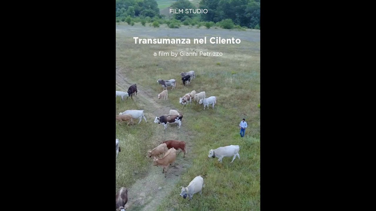 Transumanza nel Cilento