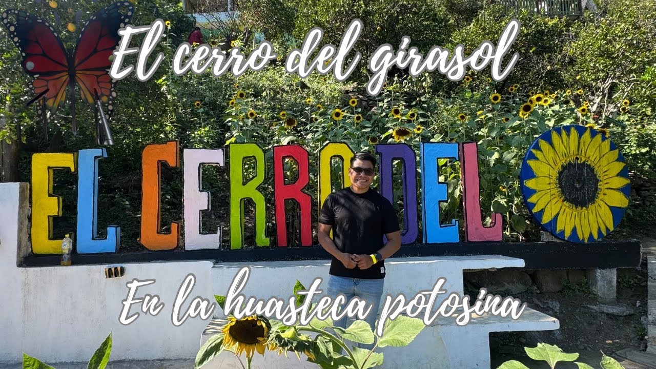 Visitando el cerro del girasol 🌻🌻🌻 en la huasteca potosina 