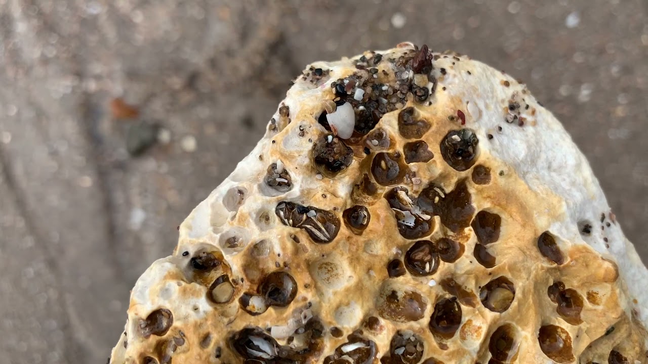 Rockhounding Ingoldmells Lincolnshire