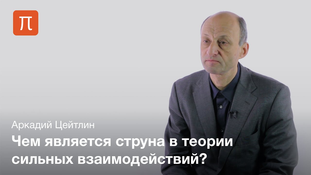 Цейтлин - Калибровочные поля и теория струн