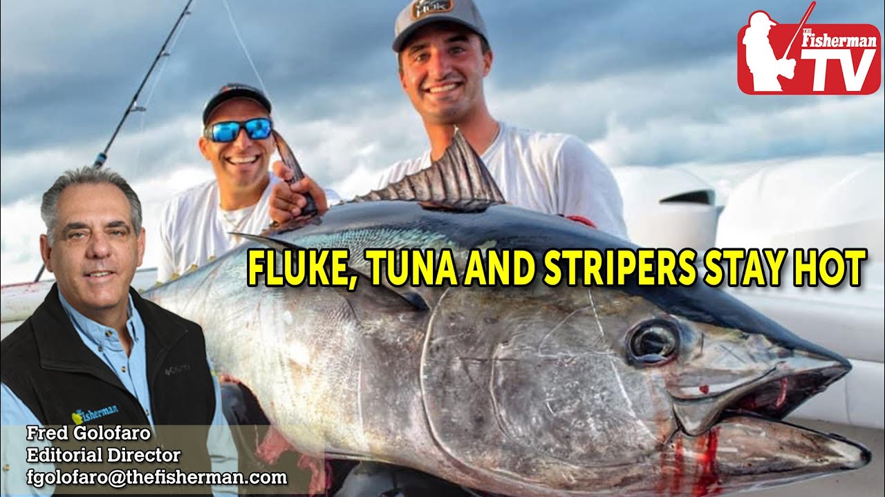 July 9, 2020 Long Island Fishing Report and Forecast
