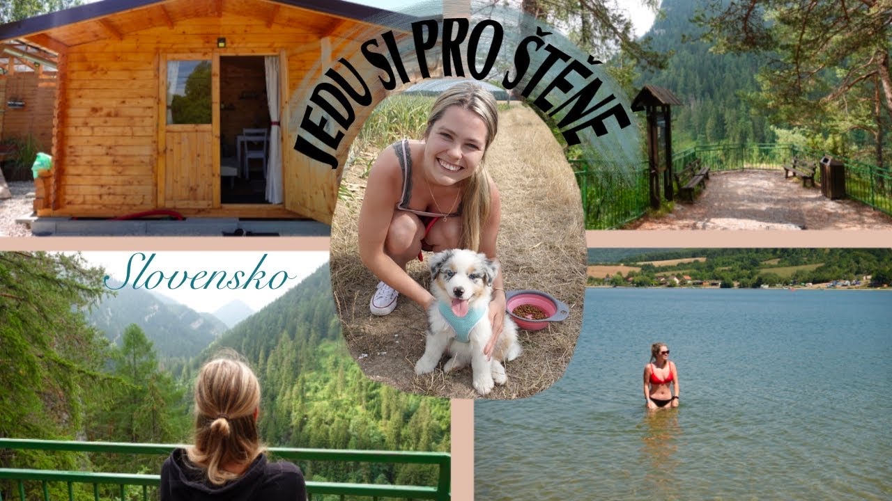 VLOG-JEDEME SI NA SLOVENSKO PRO STĚNĚ!🐶