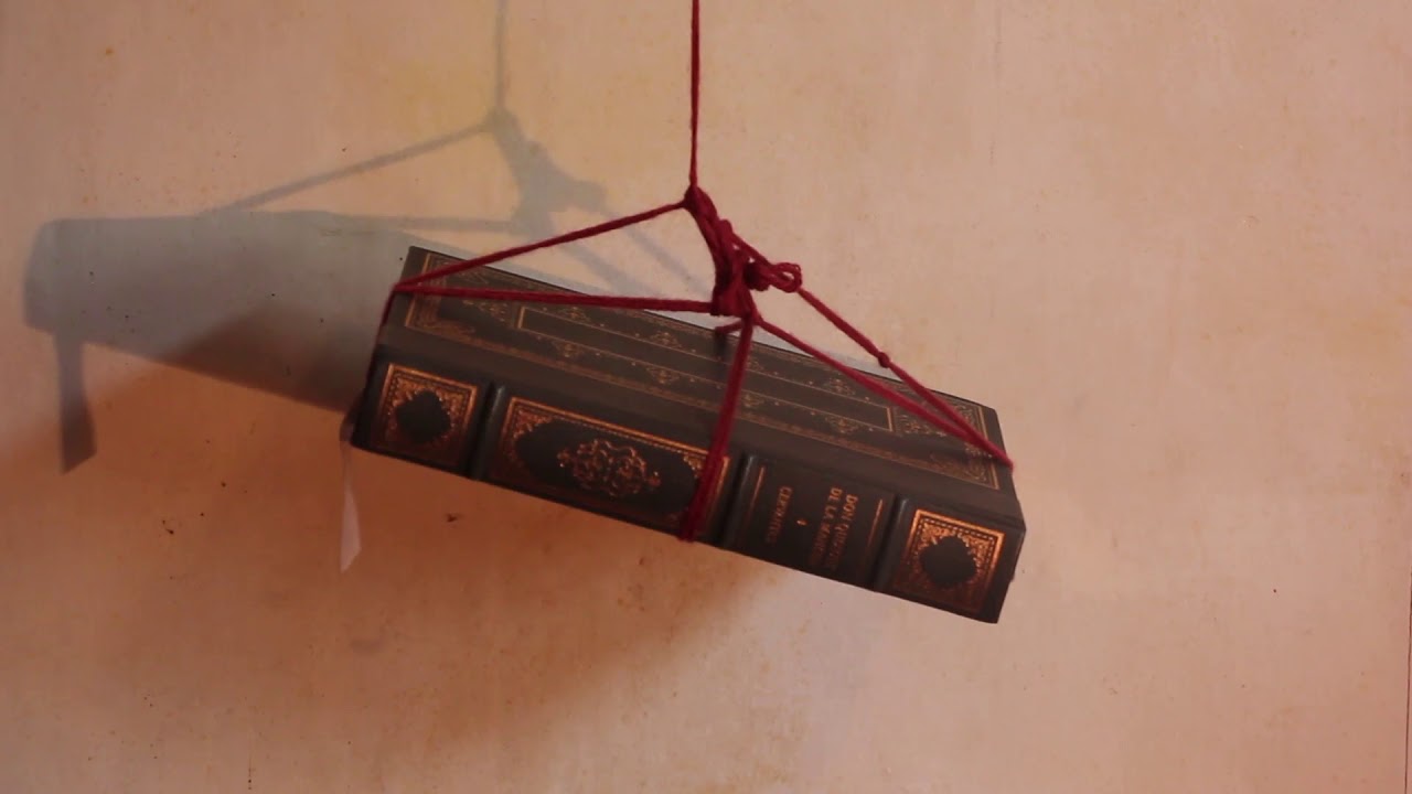 THE BOOK FETISH