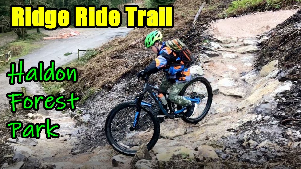 Haldon Forest Park Red Trail
