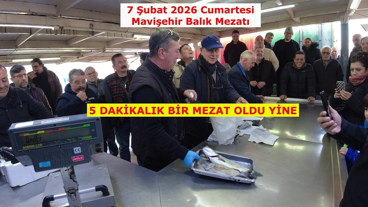 7 ŞUBAT 2026 CMTS. MAVİŞEHİR'DE KISA BİR MEZAT AMA BALIKLAR GÜZEL.
