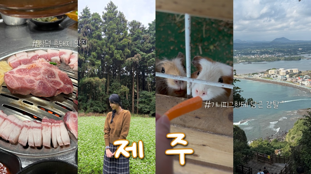 vlog | 제주도 2박3일 동안 맛집도 가고 등산도 하고 기니피그 밥도 주고🥕 | 흑돼지 맛집 | 길갈팜랜드🐴 | 몽탄 제주 | 산책하기 좋은 비밀의 숲🌳 | 제주 동쪽 여행