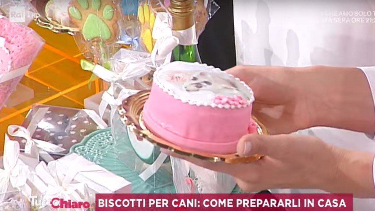 Biscotti per cani: come prepararli in casa - TuttoChiaro 02/09/2019