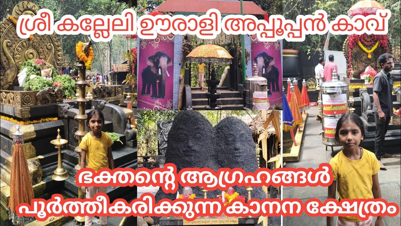ശ്രീ കല്ലേലി ഊരാളി അപ്പൂപ്പൻ കാവ് 
