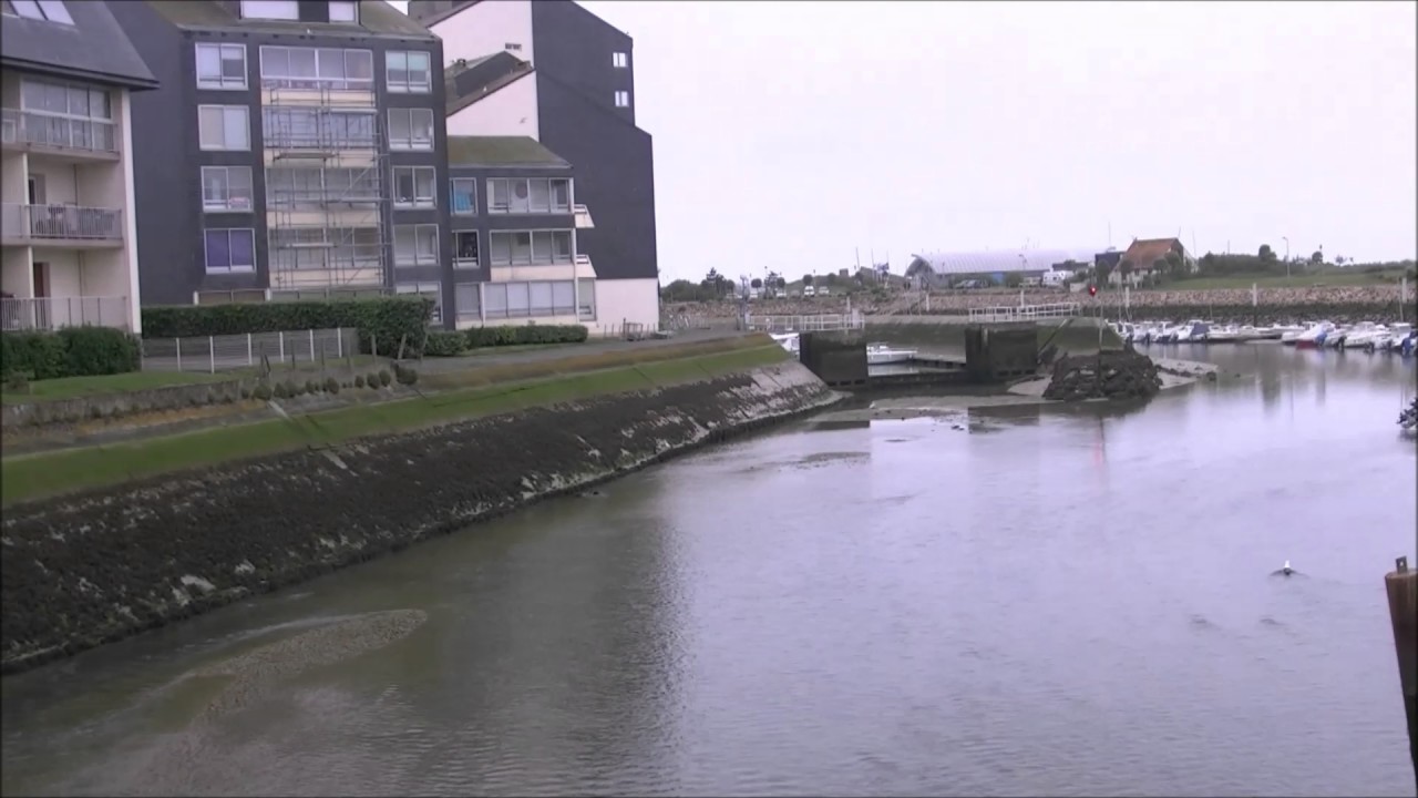 UN PHOQUE DANS LE PORT DE COURSEULLES SUR MER