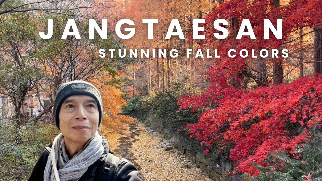 Korea’s Best Autumn Leaves Spot — Jangtaesan Recreational Forest