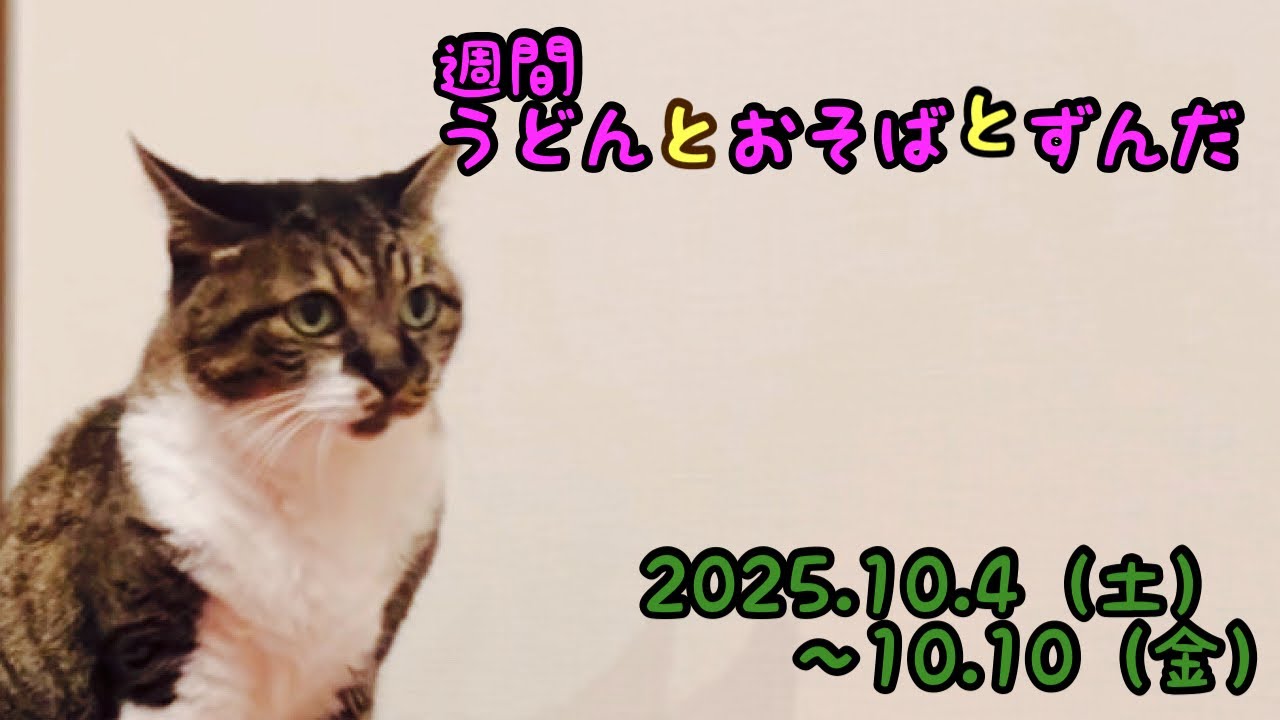 「慎重すぎた猫」「3才と12才の追いかけっこ」などの動画を５分くらいでまとめました