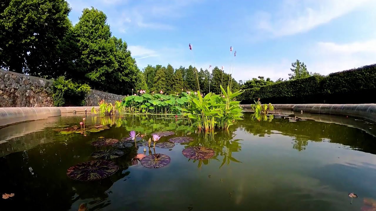 Come With Us to visit the Biltmore Garden in Asheville, NC