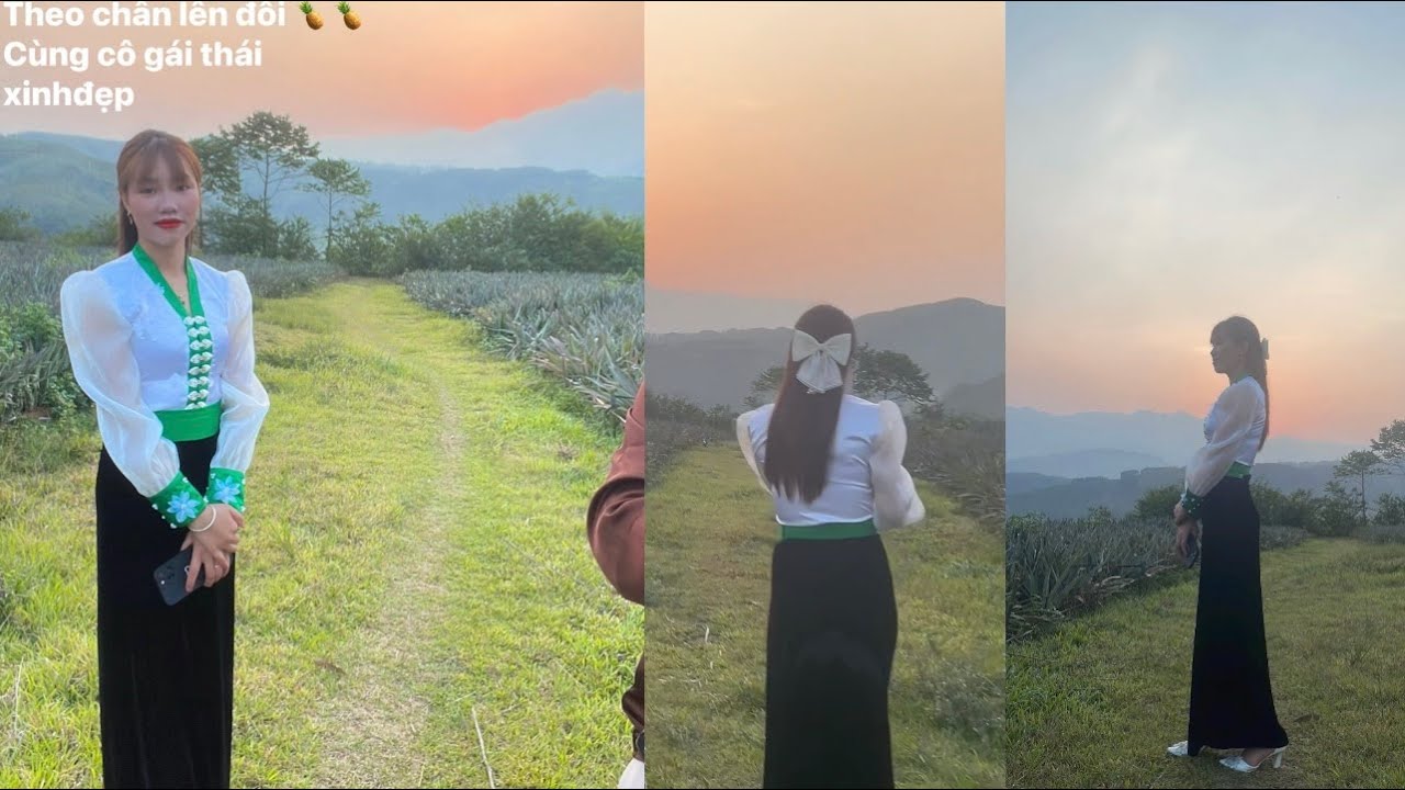 Lên đồi  dứa cùng cô gái thái xinh đẹp lúc hoàng hôn ở Tân Uyên-Lai Châu