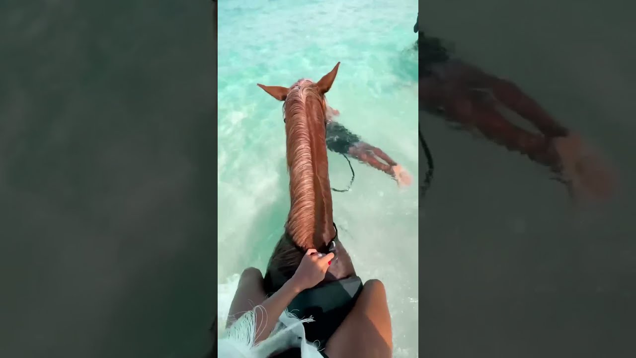 transport you to this horse's paradise in sunny Indonesia