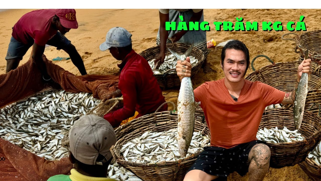 Đáng kinh ngạc bắt cá bằng lưới vây hoang dã - Hàng ngàn con cá bắt được trên biển