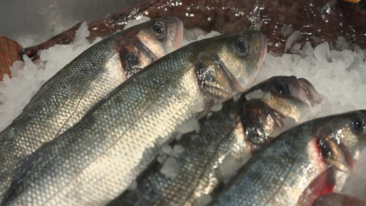 Wild Bass Supplier! | Mike Warner of A Passion for Seafood | Film Preview