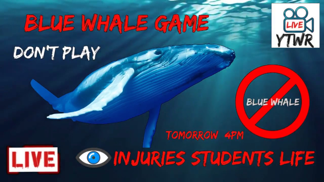 Don't Download & Don't play AWARENESS Blue Whale game Same Time Live