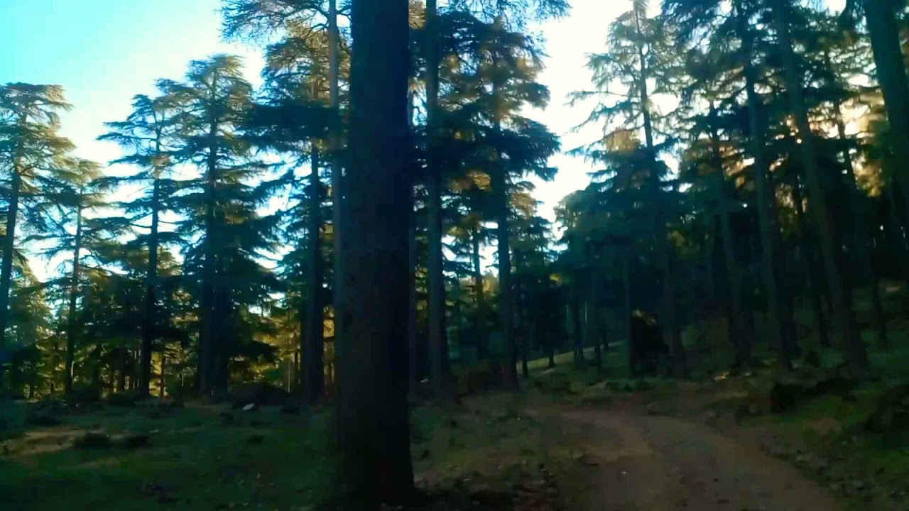 بني بشير إقليم  الحسيمة ❤