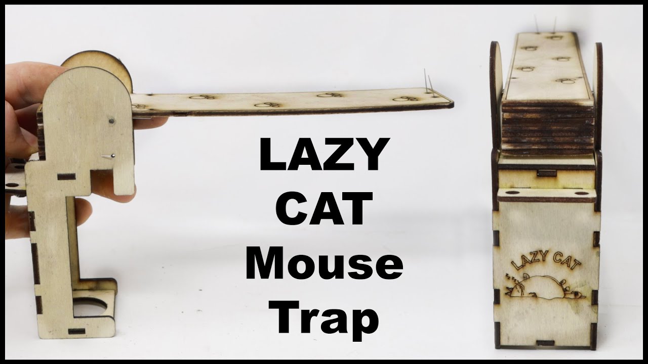 Lazy Cat Final Youtube