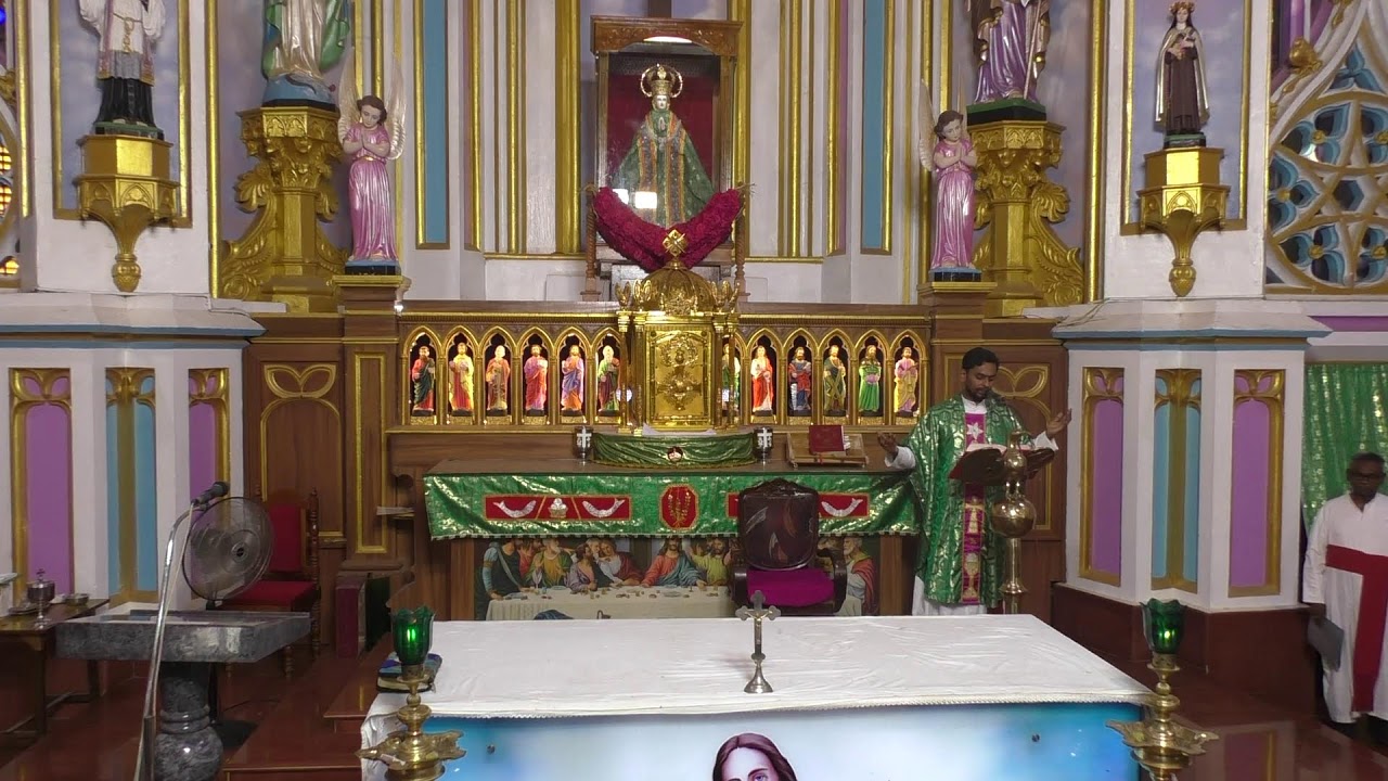 ༺♰༻ 🅛🅘🅥🅔 𝑽𝒂𝒅𝒂𝒗𝒂𝒊 𝑷𝒂𝒓𝒂𝒍𝒐𝒈𝒂 𝑴𝒂𝒕𝒉𝒂 - Daily Mass in Tamil -  2025 - திருப்பலி