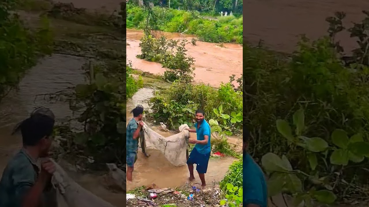 Fishing 🎣🎣 In flooded river 🌊🌊