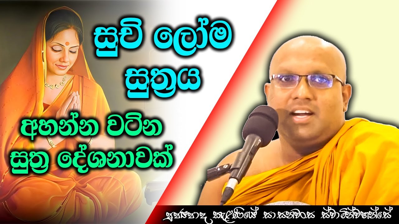 සුචිලෝම සුත්‍රය අහන්න වටින බණ ටිකක් | Kelaniye Sasanawansa Thero | Mindful Wisdom #Bana