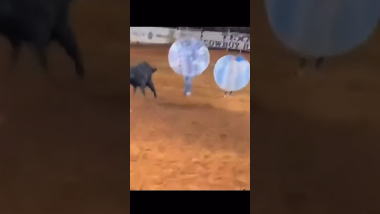 Bull Vs. Bubble Ball Human
