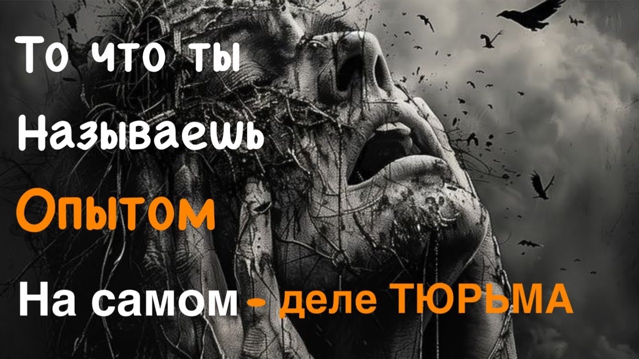 То, что ты называешь опытом, на самом деле — тюрьма.