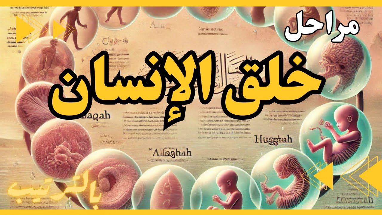 مراحل خلق الانسان بالترتيب من التراب إلى نفخ الروح !سبحان الله