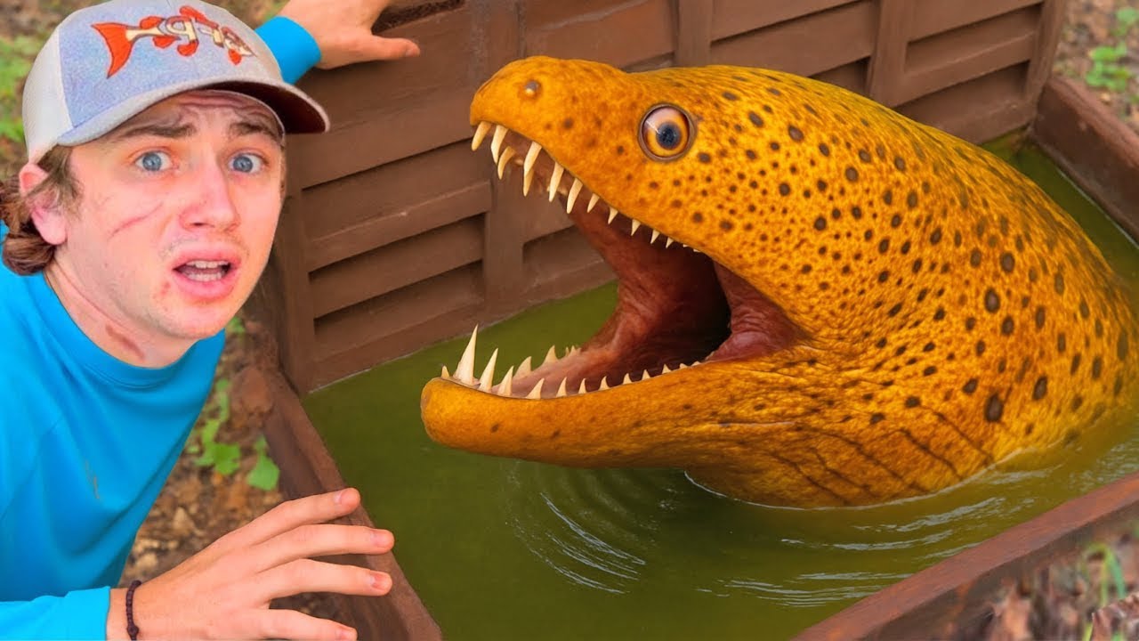 Ich hab einen Abwasserkanal voller Monster entdeckt!