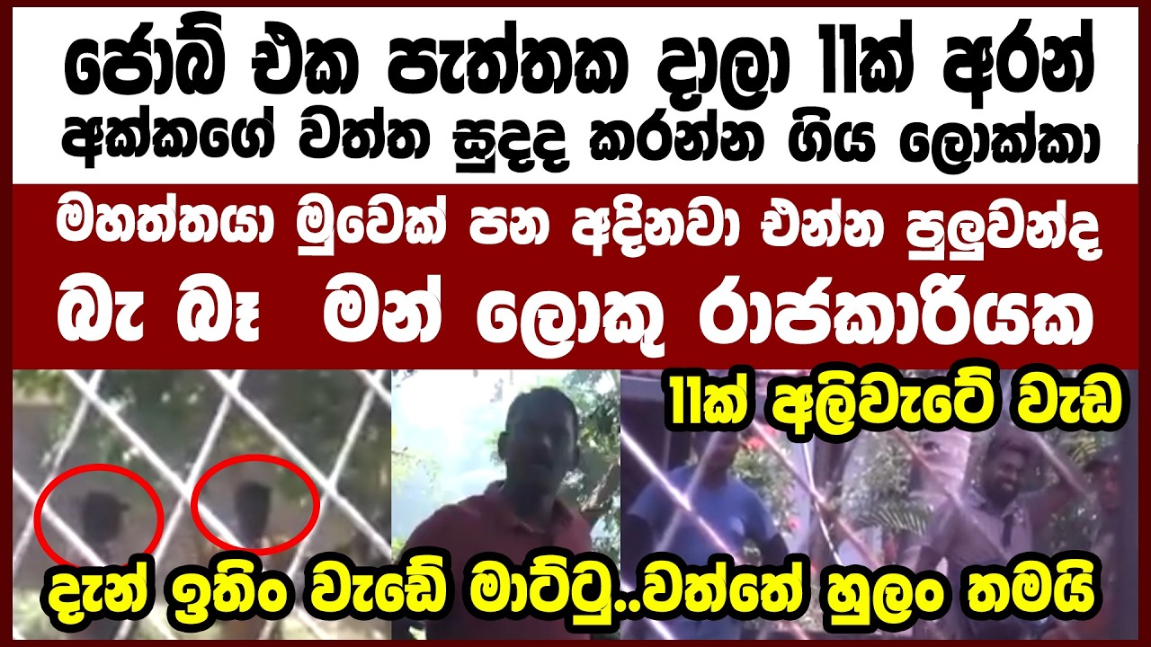 ජොබ් එක පැත්තක දාලා 11ක් අරන් අක්කගේ වත්ත සුදද කරන්න ගිය ලොක්කා මහත්තයා..