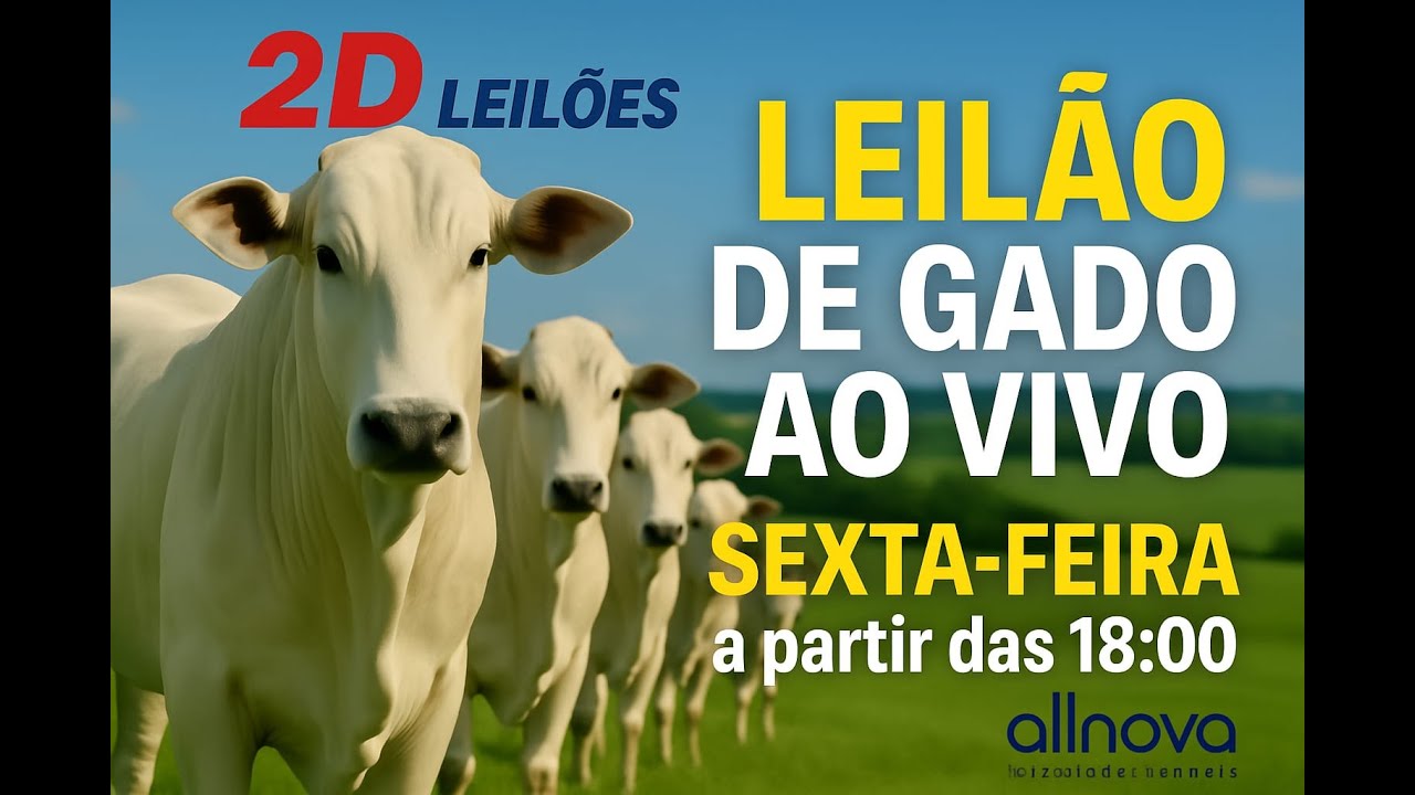 8º LEILÃO 2D LEILÕES AREALVA-SP