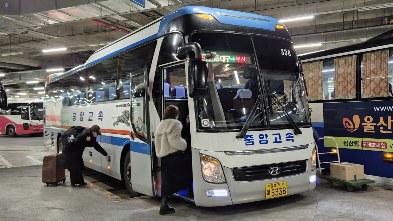 [고속버스] 동대구복합환승센터-부산종합터미널 주행영상([Express Bus] Dongdaegu Transfer Center-Busan Central Bus Terminal)
